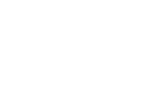 כותבים&ndash;חיים&ndash;לוגו